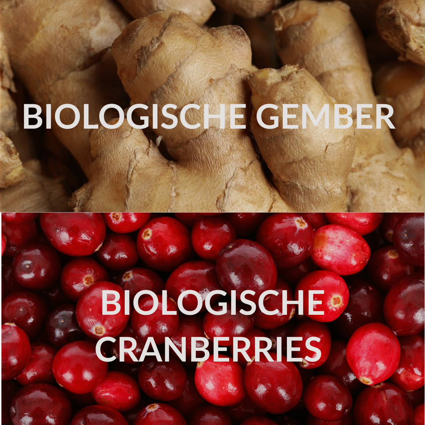 Gember - Cranberry