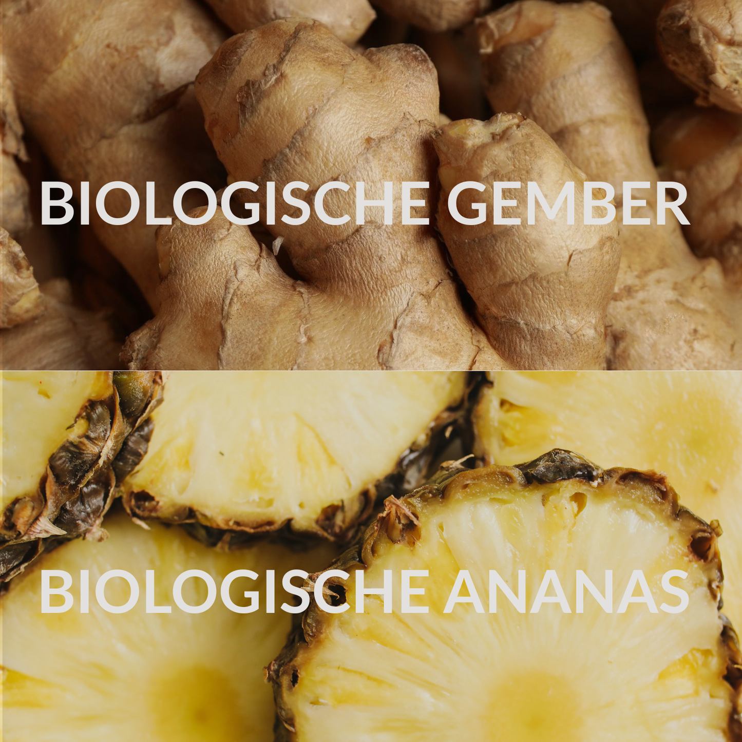 Gember - Ananas