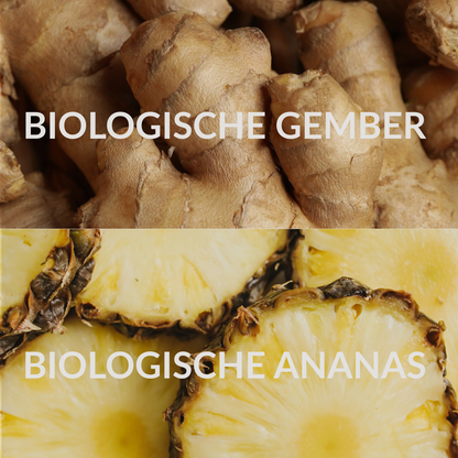 Gember - Ananas