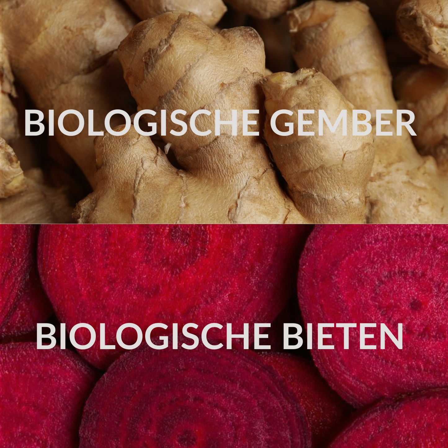 Gember - Rode Biet