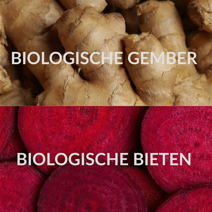 Gember - Rode Biet