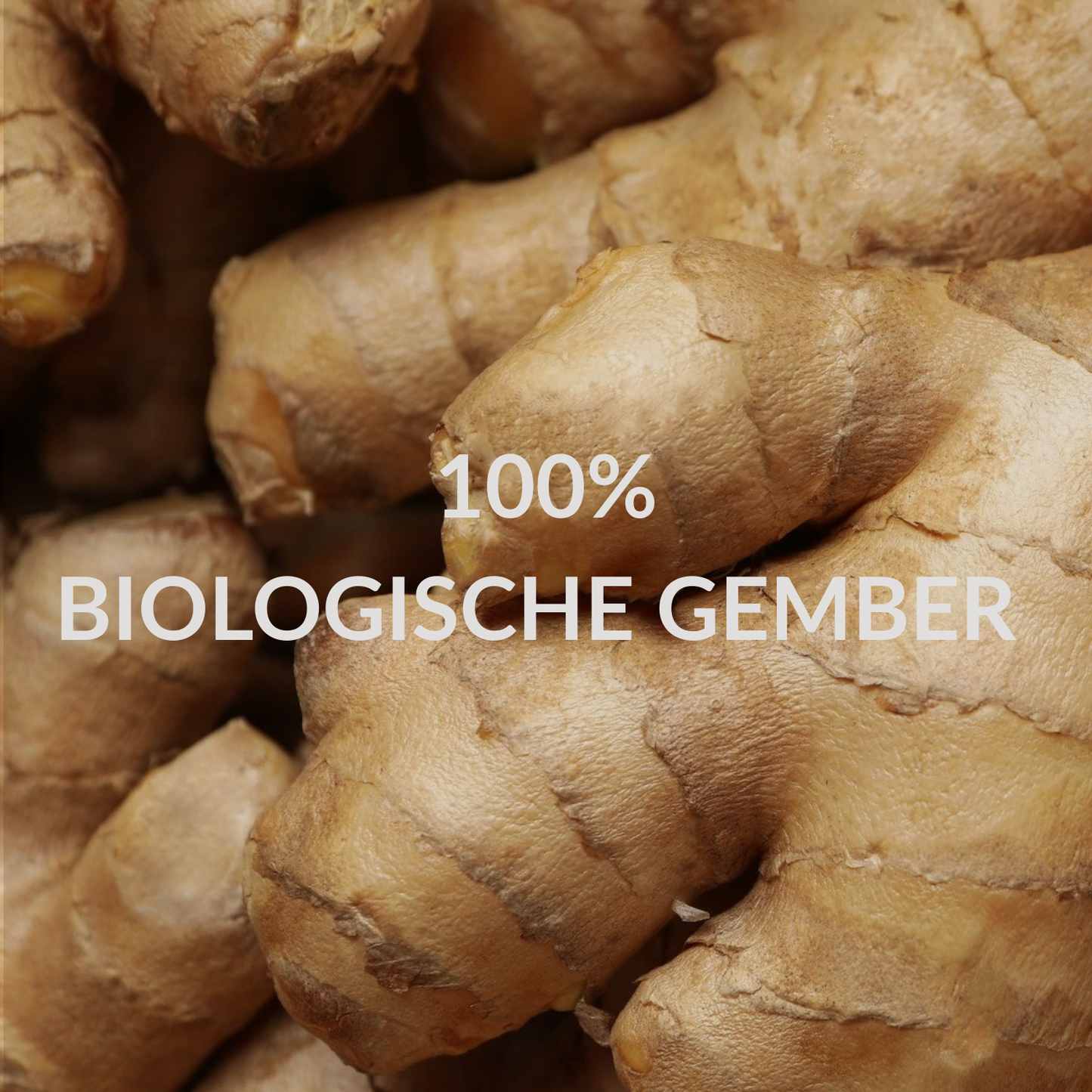 Gember 100% Puur